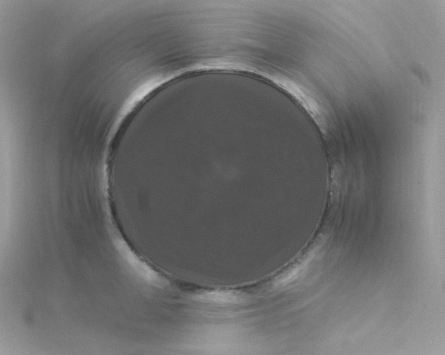 X0000115340998200911231429