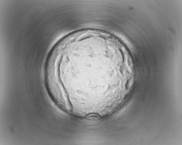 X0000115340999200911231429