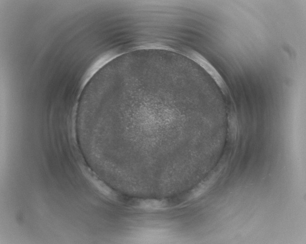 X0000115341002200911231429