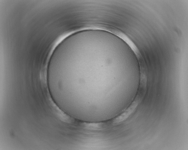 X0000115341004200911231429