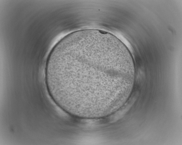 X0000115341005200911231429