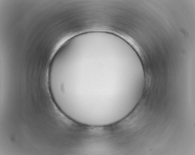 X0000115341006200911231428