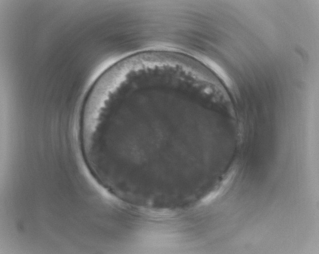 X0000115341007200911231428