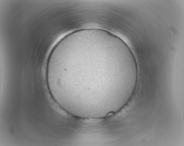 X0000115341008200911231428