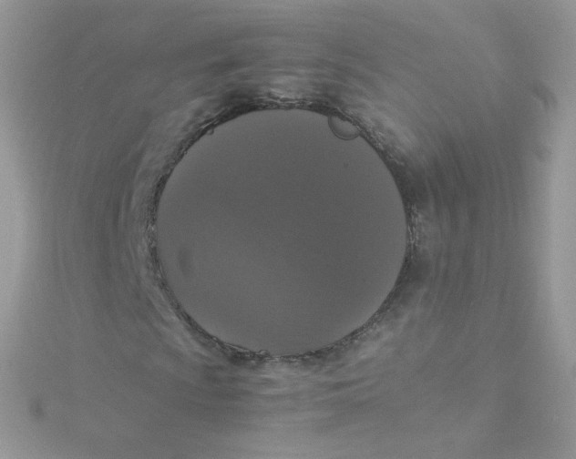 X0000115341009200911231428