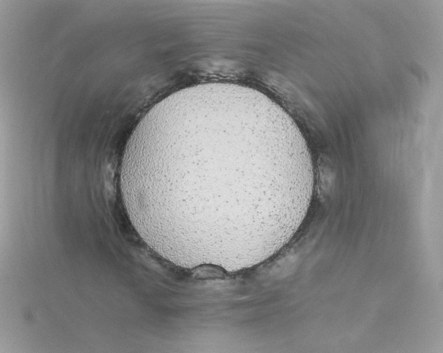 X0000115341010200911231428