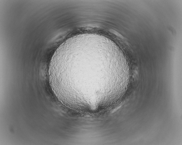 X0000115341014200911231428