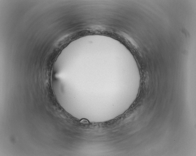 X0000115341016200911231428