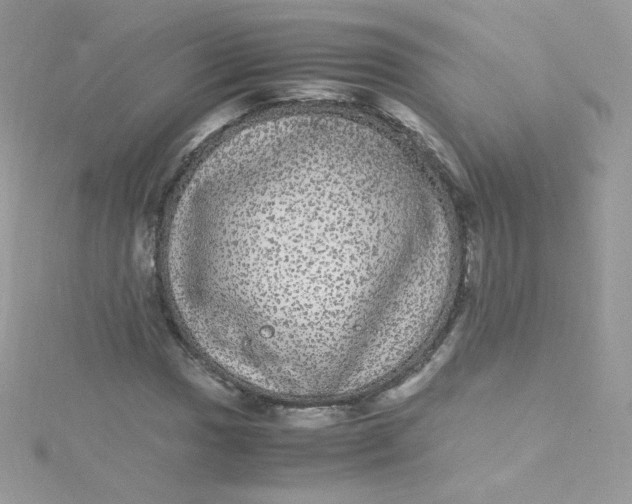 X0000115341017200911231428