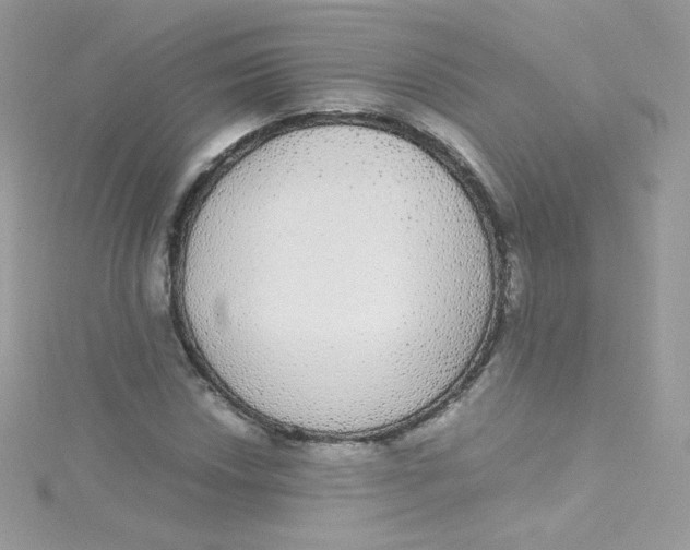 X0000115341018200911231428