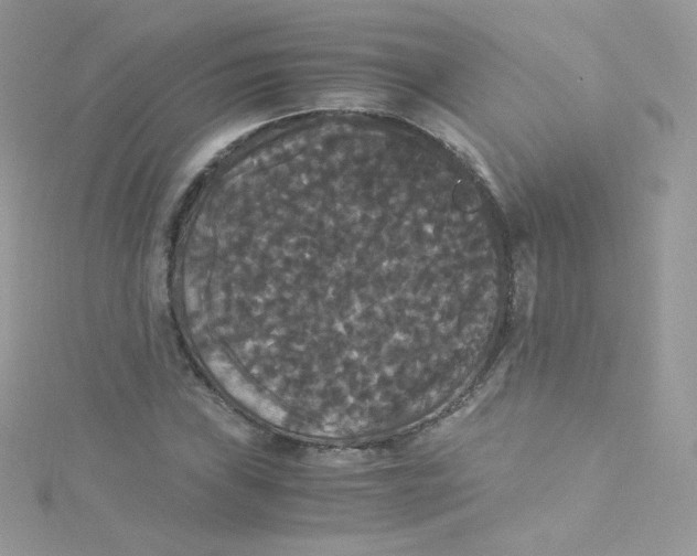 X0000115341019200911231428