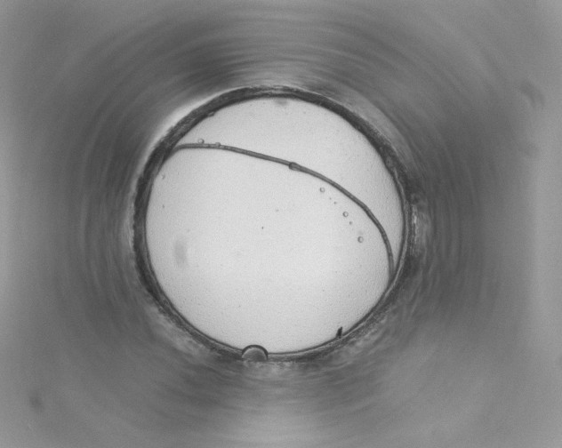 X0000115341020200911231428