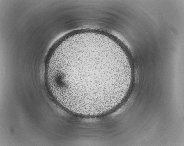 X0000115341021200911231428