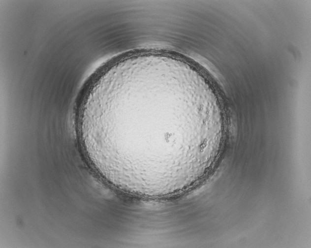 X0000115341022200911231428