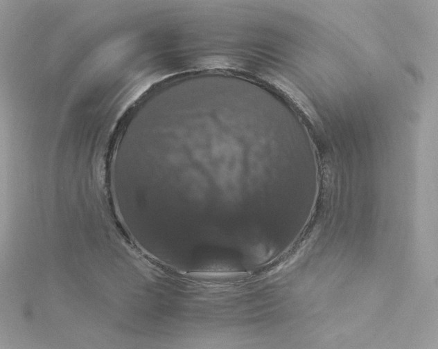 X0000115341023200911231428