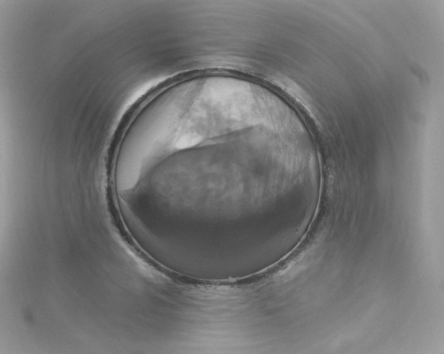 X0000115341024200911231428