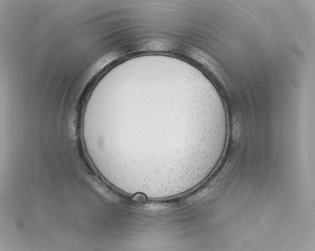 X0000115341026200911231428