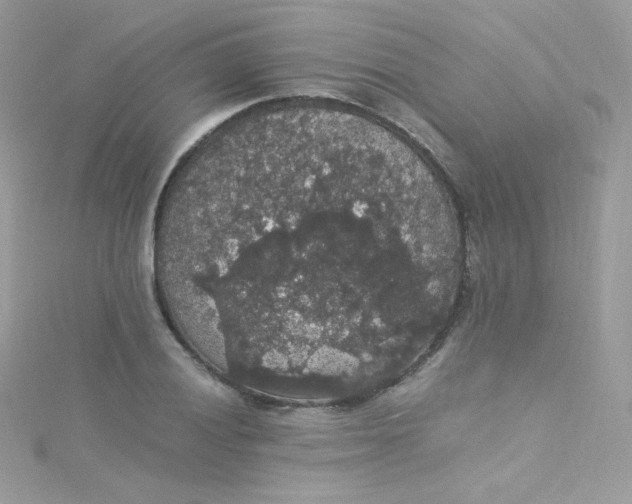 X0000115341028200911231428