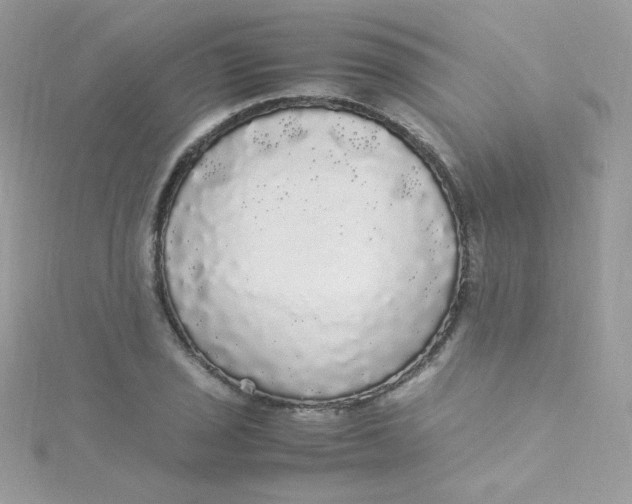 X0000115341029200911231428