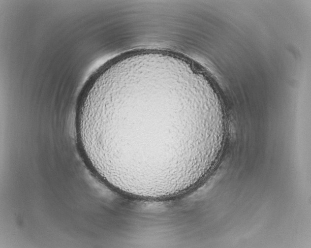 X0000115341030200911231428