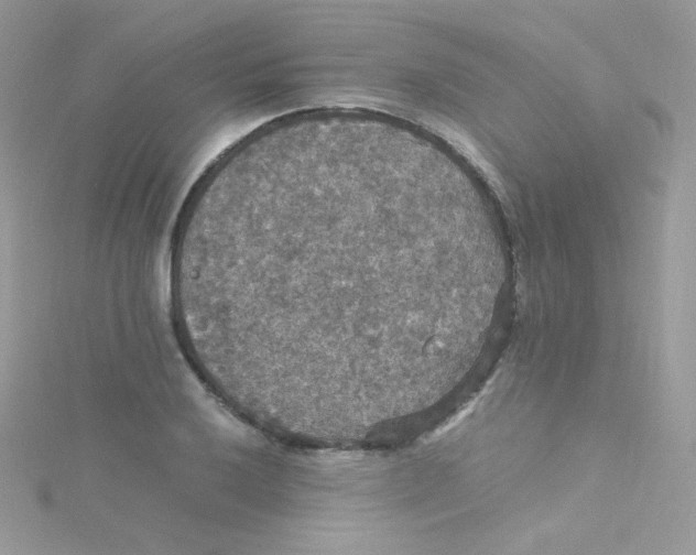 X0000115341032200911231428