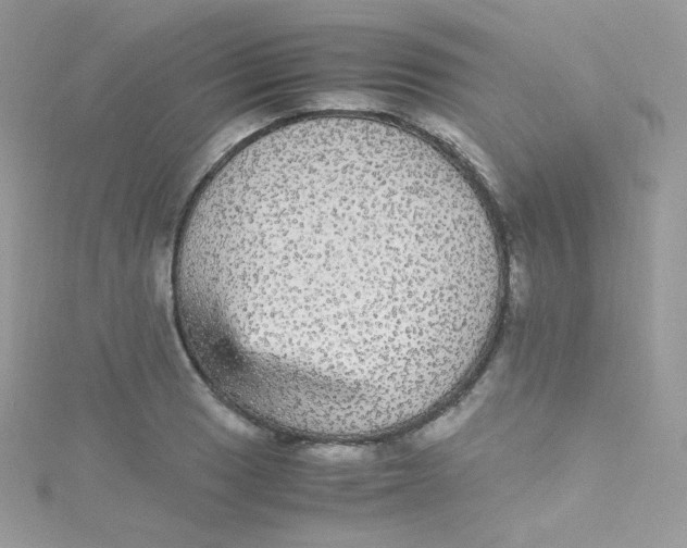 X0000115341033200911231428