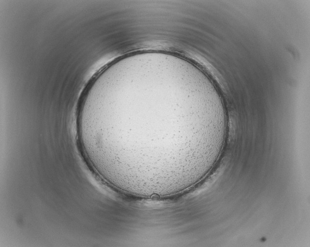 X0000115341034200911231428