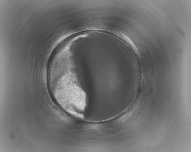 X0000115341035200911231428