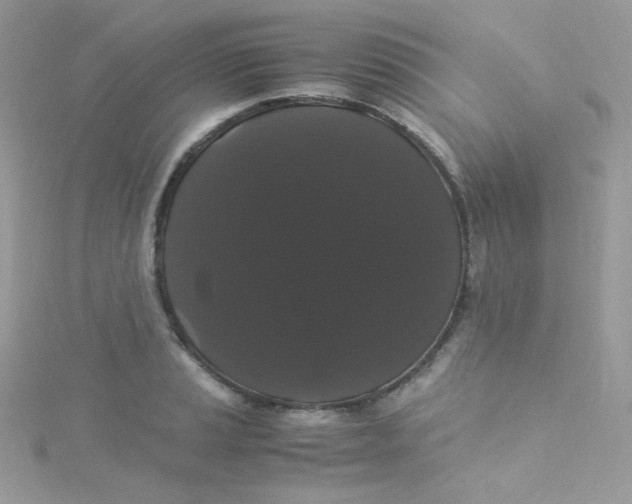 X0000115341037200911231428