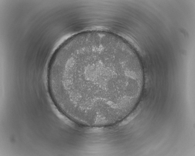 X0000115341038200911231428