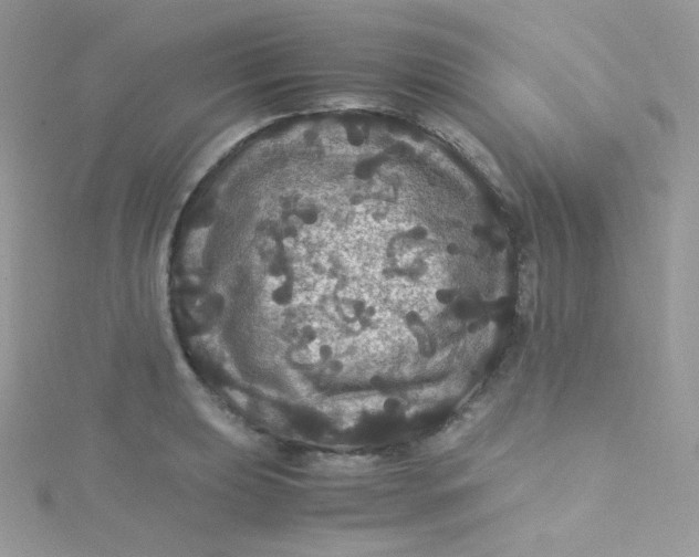 X0000115341039200911231428