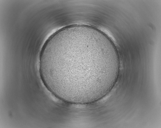 X0000115341040200911231428