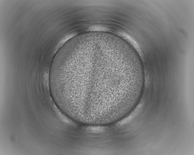 X0000115341041200911231428