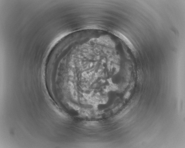 X0000115341043200911231428