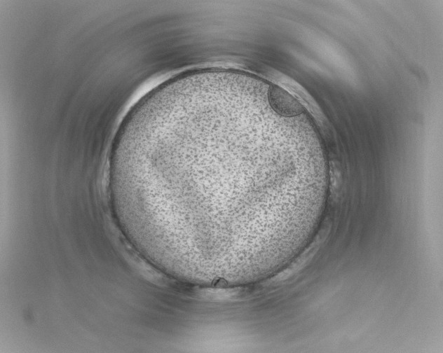 X0000115341044200911231428