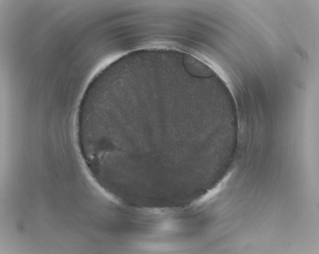 X0000115341045200911231428