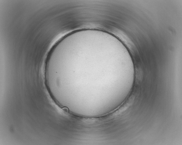 X0000115341046200911231428