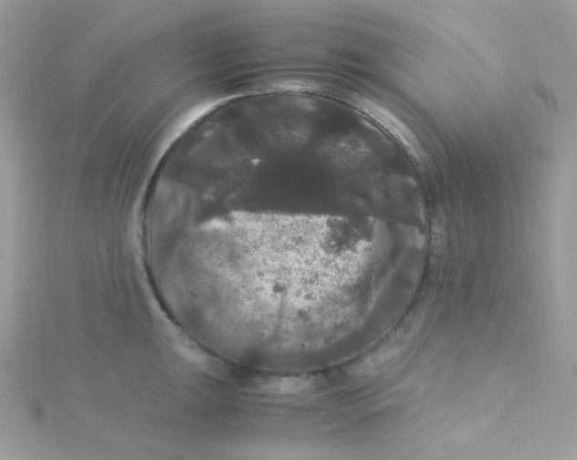 X0000115341047200911231428