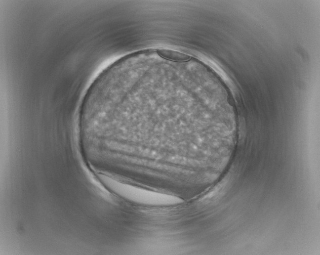 X0000115341048200911231428