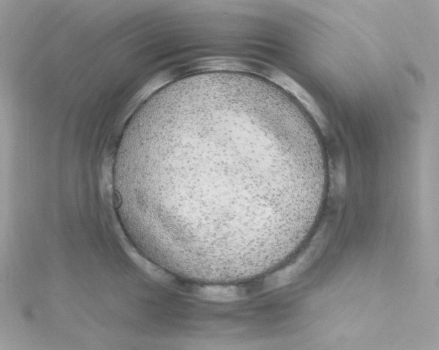 X0000115341049200911231428