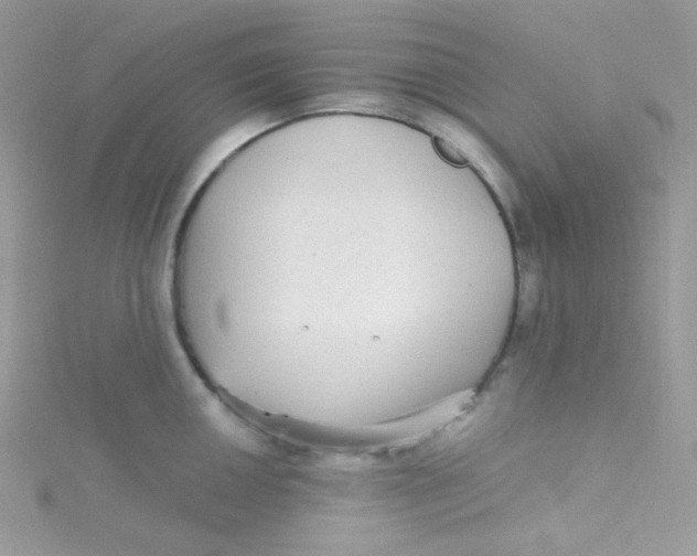 X0000115341050200911231428