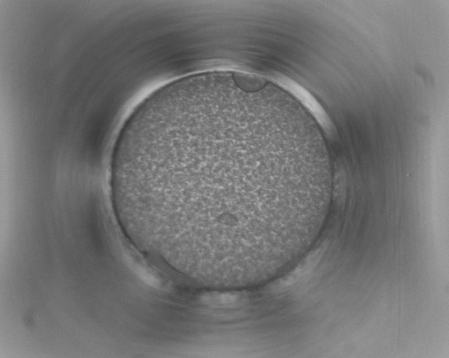 X0000115341051200911231428