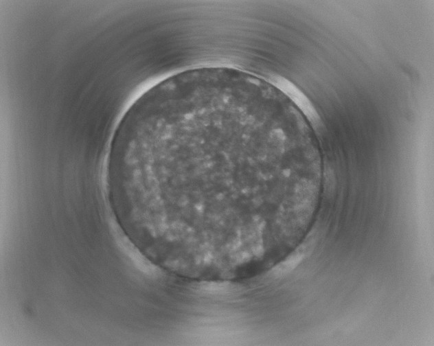 X0000115341052200911231428