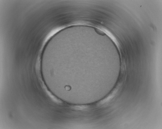 X0000115341053200911231428