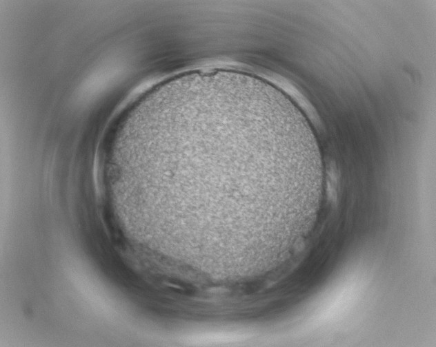 X0000115341054200911231428