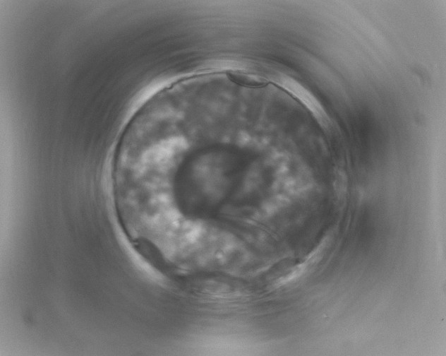 X0000115341055200911231428