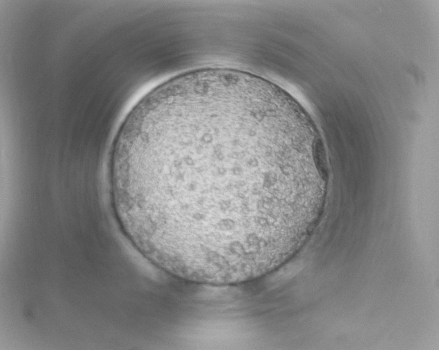 X0000115341056200911231428