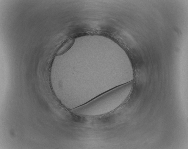 X0000115341057200911231428