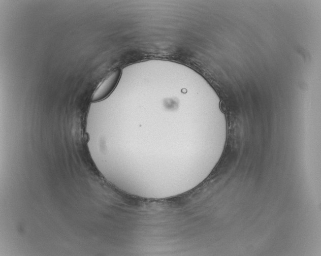 X0000115341058200911231428