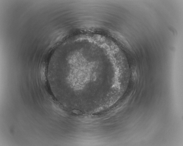 X0000115341060200911231428